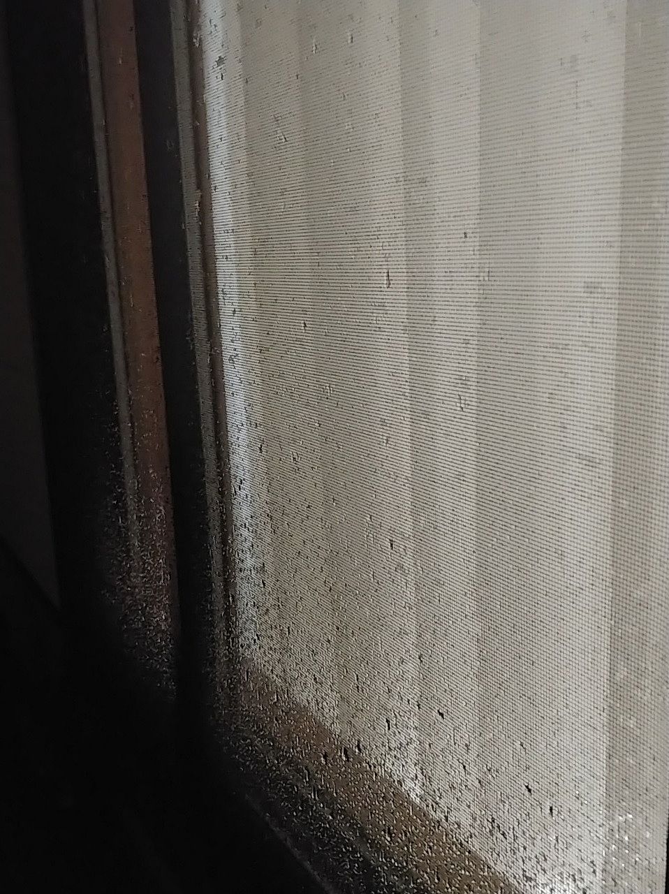 窓に雨が打ち付けた様子です