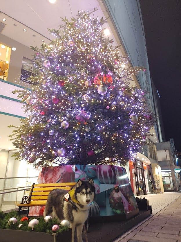松本パルコ　クリスマスツリー