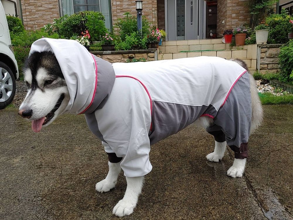 梅雨入りまでもう少し
