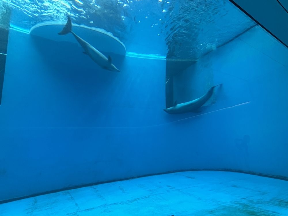 ◇上越市立水族博物館　うみがたり◇